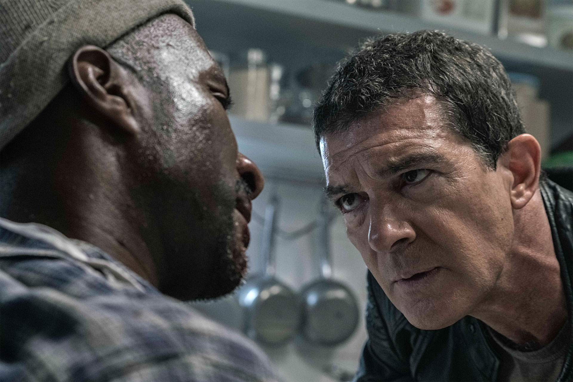 466b3772-c5af-11e7-b773-005056b70bb8